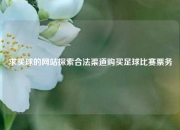 求买球的网站探索合法渠道购买足球比赛票务
