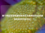 哪个网站买球球最好如何在众多网站中选择最佳的球球交易平台？