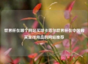 世界杯在哪个网站买球卡塔尔世界杯在中国购买足球用品的网站推荐