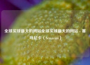 全球买球最大的网站全球买球最大的网站 - 赛马尼卡（Semarani）