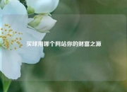 买球用哪个网站你的财富之源