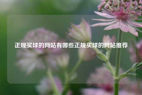 正规买球的网站有哪些正规买球的网站推荐