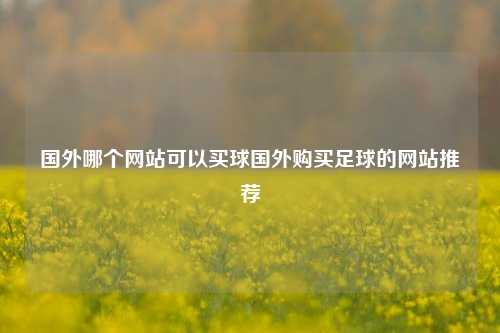 国外哪个网站可以买球国外购买足球的网站推荐