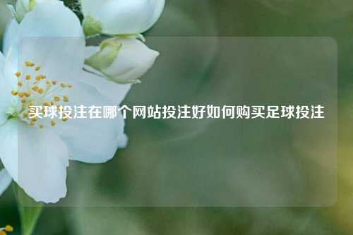 买球投注在哪个网站投注好如何购买足球投注