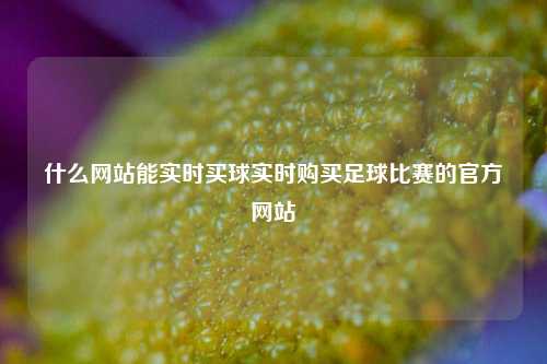 什么网站能实时买球实时购买足球比赛的官方网站