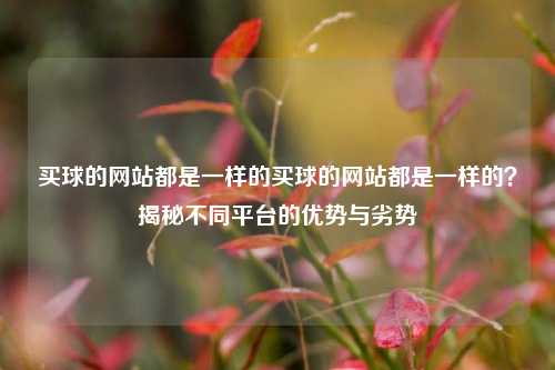 买球的网站都是一样的买球的网站都是一样的？揭秘不同平台的优势与劣势