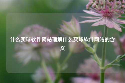 什么买球软件网站理解什么买球软件网站的含义
