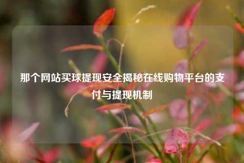 那个网站买球提现安全揭秘在线购物平台的支付与提现机制