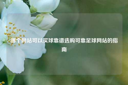 哪个网站可以买球靠谱选购可靠足球网站的指南