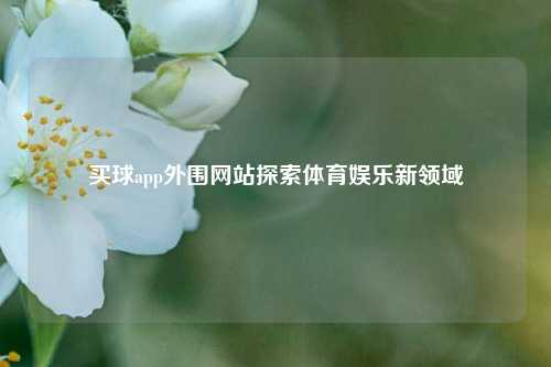 买球app外围网站探索体育娱乐新领域