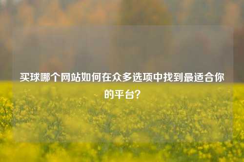 买球哪个网站如何在众多选项中找到最适合你的平台？