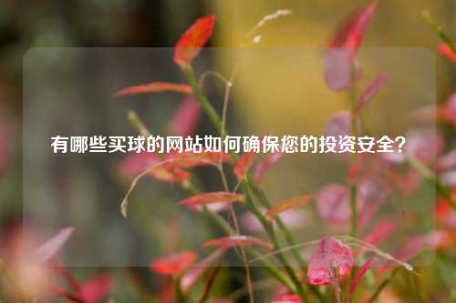 有哪些买球的网站如何确保您的投资安全？