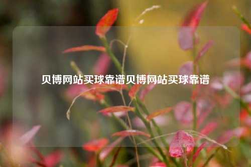 贝博网站买球靠谱贝博网站买球靠谱
