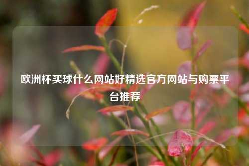 欧洲杯买球什么网站好精选官方网站与购票平台推荐