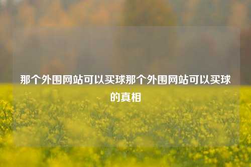 那个外围网站可以买球那个外围网站可以买球的真相