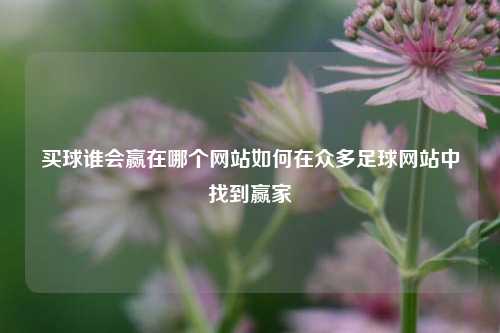 买球谁会赢在哪个网站如何在众多足球网站中找到赢家