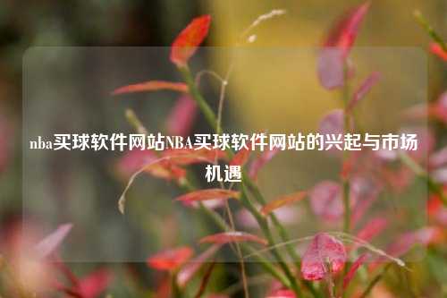 nba买球软件网站NBA买球软件网站的兴起与市场机遇