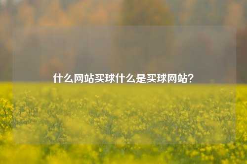 什么网站买球什么是买球网站？