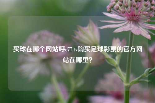 买球在哪个网站呼c77,tv购买足球彩票的官方网站在哪里？