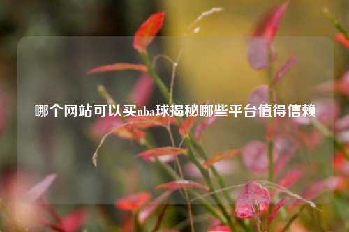 哪个网站可以买nba球揭秘哪些平台值得信赖